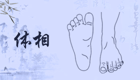 脖子与命运