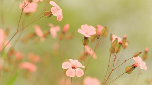 今日运势之7月3日，谁还不是个时间管理大师呢！