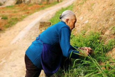 梦见死去的奶奶是什么意思 是预示着你新的生活吗