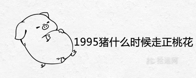 1995年属猪什么时候走正桃花 姻缘出现的时间