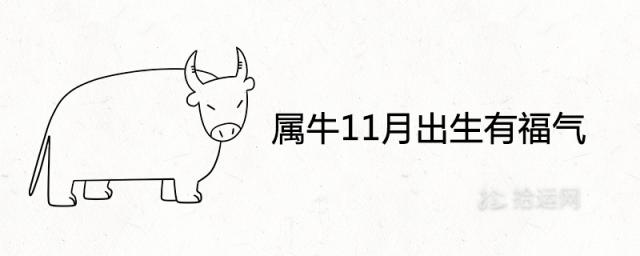 属牛11月出生有福气为什么 是什么命