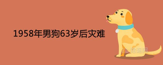 1958年男狗63岁后发生什么灾难 晚年运势怎么样