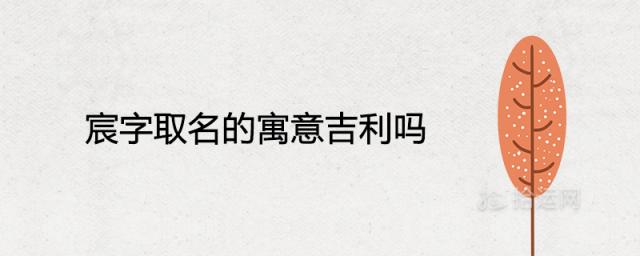 宸字取名的寓意吉利吗 高雅有涵养的名字