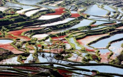 梦见被雨水淹没的田地