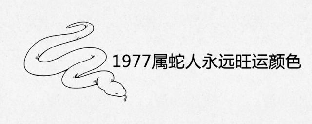 1977年属蛇人永远旺运的颜色