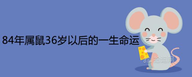 84年属鼠36岁以后的一生命运好不好