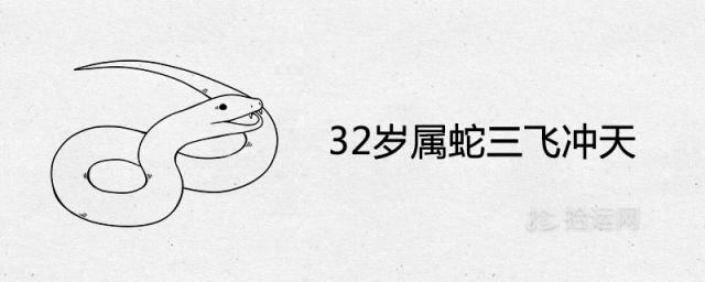 32岁属蛇三飞冲天是什么意思