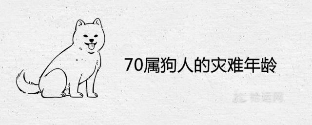 70属狗人的灾难年龄及一生命运