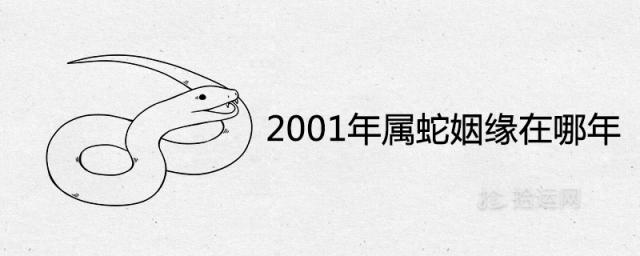 2001年属蛇姻缘在哪年及婚姻运势