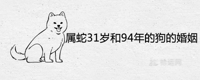 属蛇的31岁和94年的狗的婚姻怎么样 八字合不合