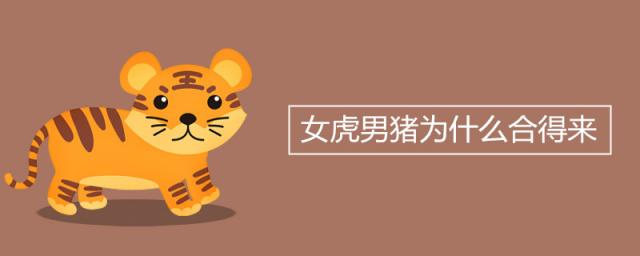 女虎男猪为什么合得来