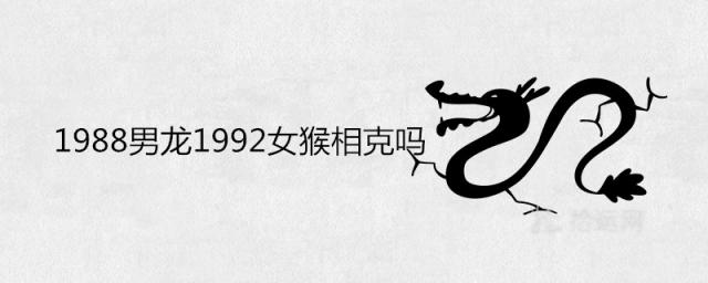 1988男龙1992女猴相克吗 男木女金做夫妻可以吗