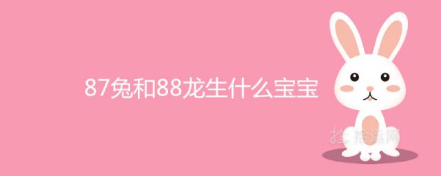 87兔和88龙生什么宝宝能化解相害