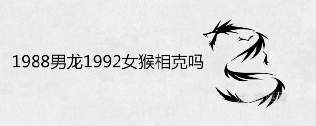 1988男龙1992女猴相克吗 结婚好不好