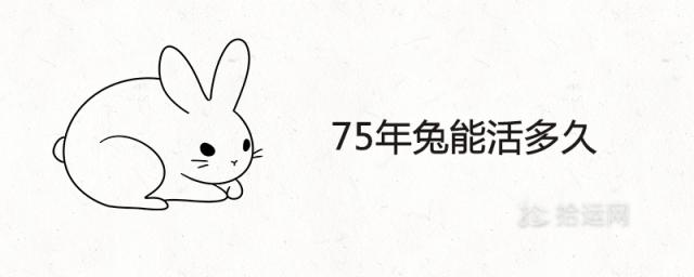 75年兔能活多久 46岁运气怎么样