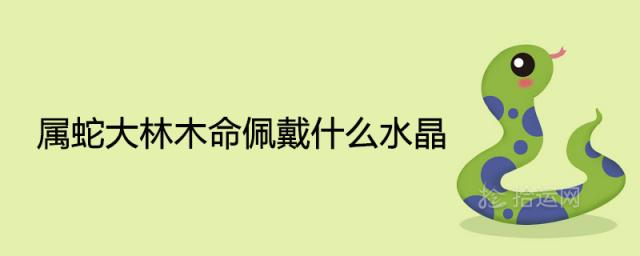 属蛇大林木命佩戴什么水晶好招财