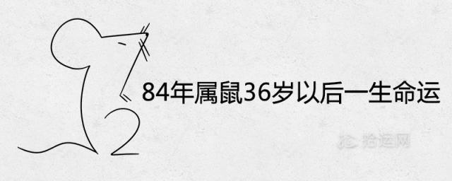 84年属鼠36岁以后的一生命运女分析