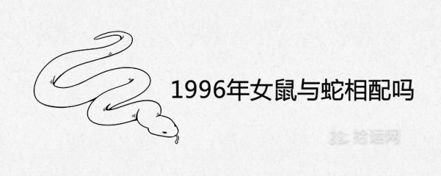 1996年出生的女鼠与蛇相配吗 一生婚姻状况怎么样