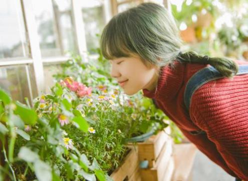 代表北半球春季的星座