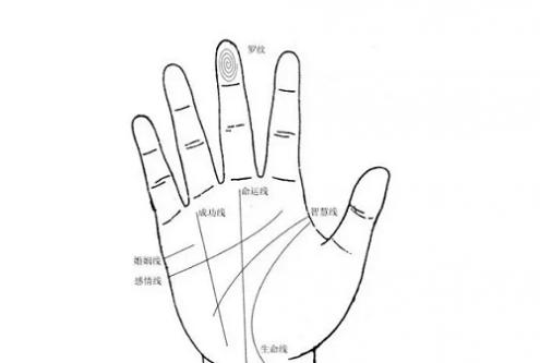 断掌纹男人命运怎么样 断掌纹男人命运怎么样啊