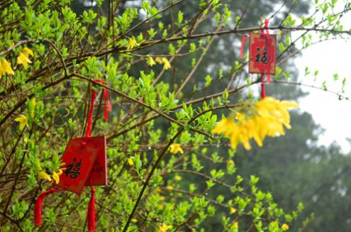 2023年10月祈福吉日 2023年十月份祈福吉日