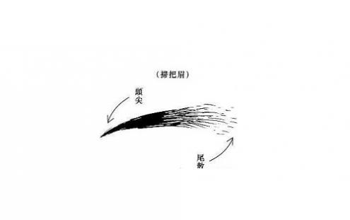 扫把眉是什么样的 扫把眉怎么破解