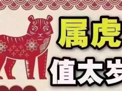 2022年属虎本命年犯太岁吗 不同年份生肖虎2022年岁数运程