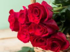 梦到红玫瑰是什么预兆 梦见玫瑰花是什么意思