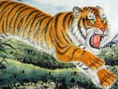 生肖虎的事业贵人是谁 1962年的虎是什么命