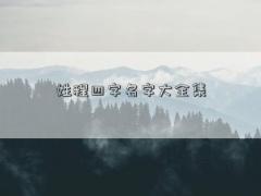 姓程四字名字大全集