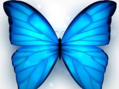 梦见蝴蝶是什么预兆 梦见蝴蝶代表什么意思