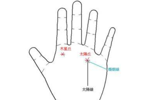 手掌部位手相分析（一）
