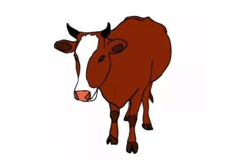 生肖牛与哪些属相合？
