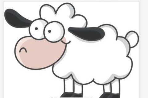 八月羊日是什么意思　牛羊相冲是什么意思