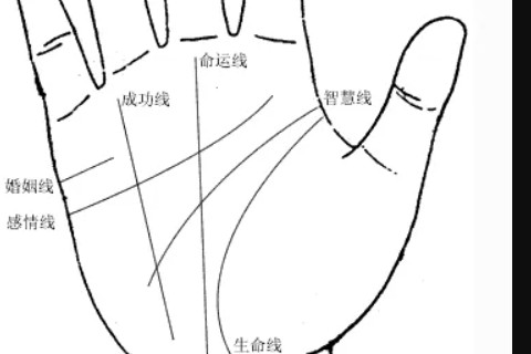 双手川字掌的男人富贵一生 会有不错的人的机遇