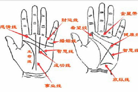 无名指比食指长手相学上怎么解释 无名指比食指长的女人靠什么养老